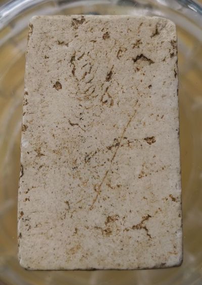 พระสมเด็จพิมพ์สวยเนื้อเก่าแห้งค่ะ(9) รูปที่ 4