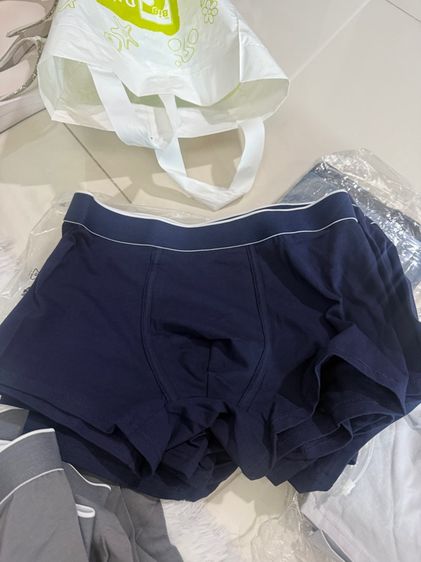 boxer