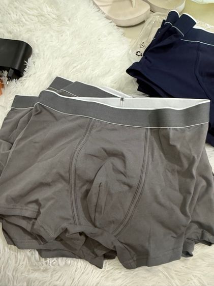 boxer  รูปที่ 3