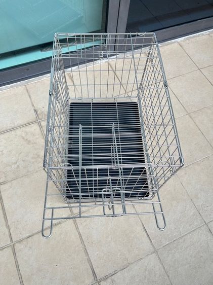 กรงสุนัข รูปที่ 5