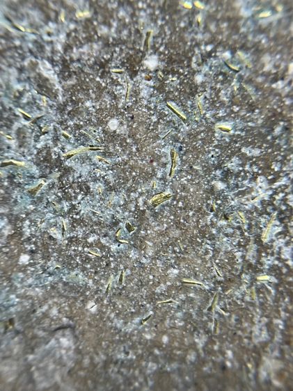 พระสมเด็จวัดระฆังพิมพ์ใหญ่ผงตะไบทอง รูปที่ 15