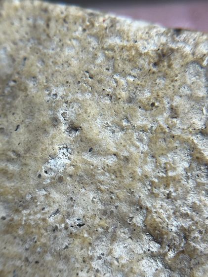 พระสมเด็จวัดระฆังพิมพ์เส้นด้าย รูปที่ 15