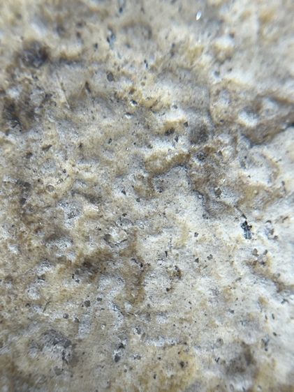 พระสมเด็จวัดระฆังพิมพ์เส้นด้าย รูปที่ 11