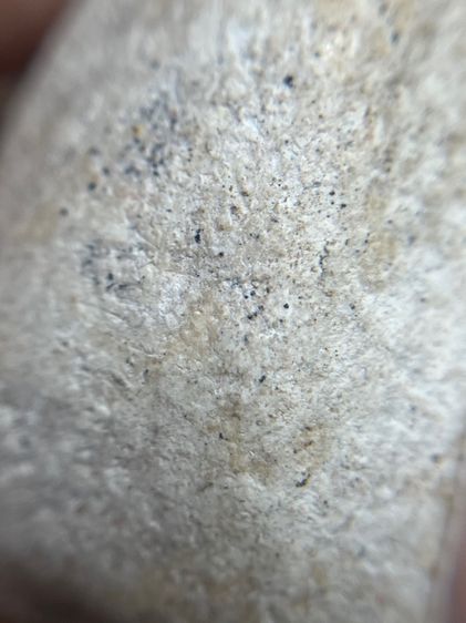 หลวงปู่ทวดพิมพ์เตารีด เนื้อสีขาวนวล รูปที่ 12