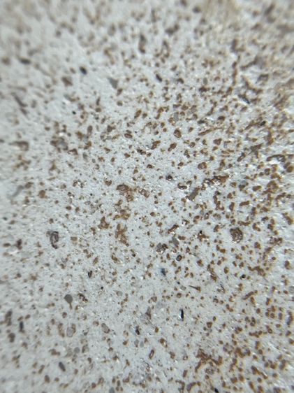 สมเด็จวัดระฆังพิมพ์ใหญ่องค์ประถม รูปที่ 16