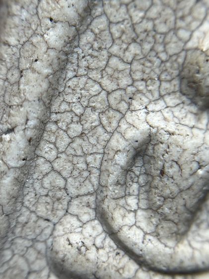 สมเด็จวัดระฆังพิมพ์ใหญ่องค์ประถม รูปที่ 7