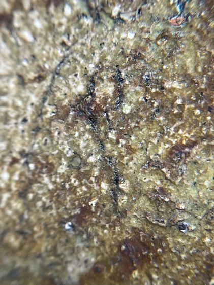 พระสมเด็จวัดระฆังพิมพ์ฐานแซม รูปที่ 13