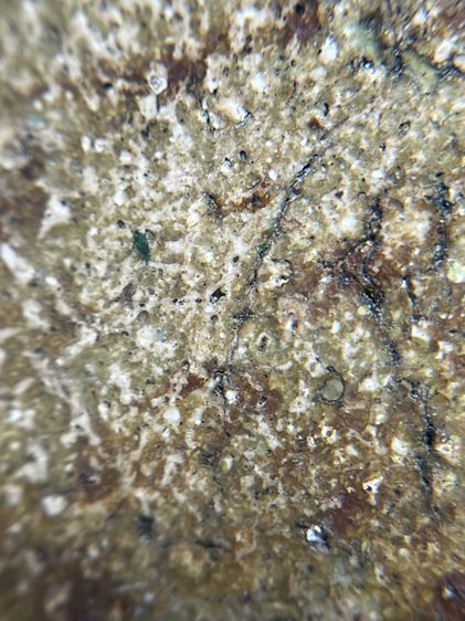 พระสมเด็จวัดระฆังพิมพ์ฐานแซม รูปที่ 10