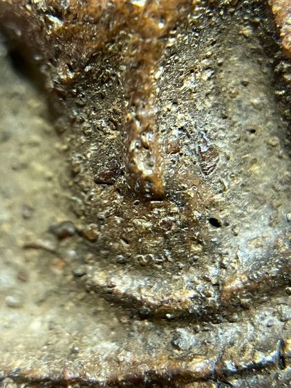 พระสมเด็จนางพญาพิมพ์เข่าโค้งเนื้อดิน รูปที่ 7