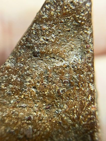 พระสมเด็จนางพญาพิมพ์เข่าโค้งเนื้อดิน รูปที่ 15