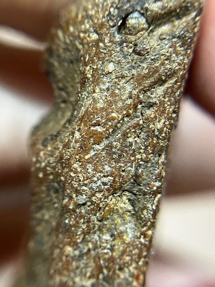 พระสมเด็จนางพญาพิมพ์เข่าโค้งเนื้อดิน รูปที่ 13