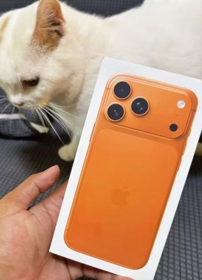 iphone17 pro max 256gb
