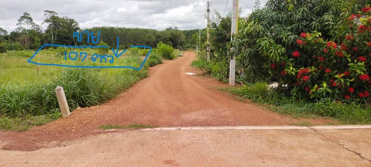 ขายที่ดิน107ตรว.อำเภอวังจันทร์ จังหวัดระยอง