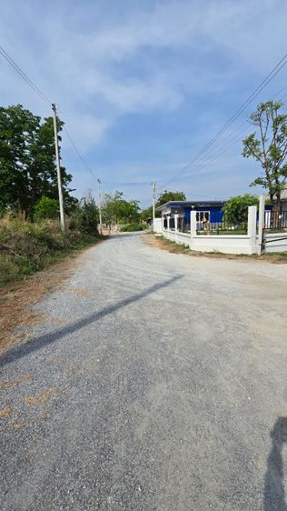 ที่ดิน หนองตำลึง 50วา รูปที่ 3