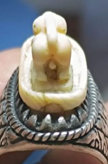 สิงห์หัวแหวนเงินหลวงพ่อเฮง วัดเขาดินใต้ รูปที่ 3