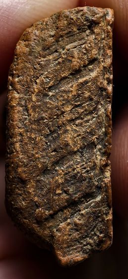 พระนางพญา รูปที่ 4