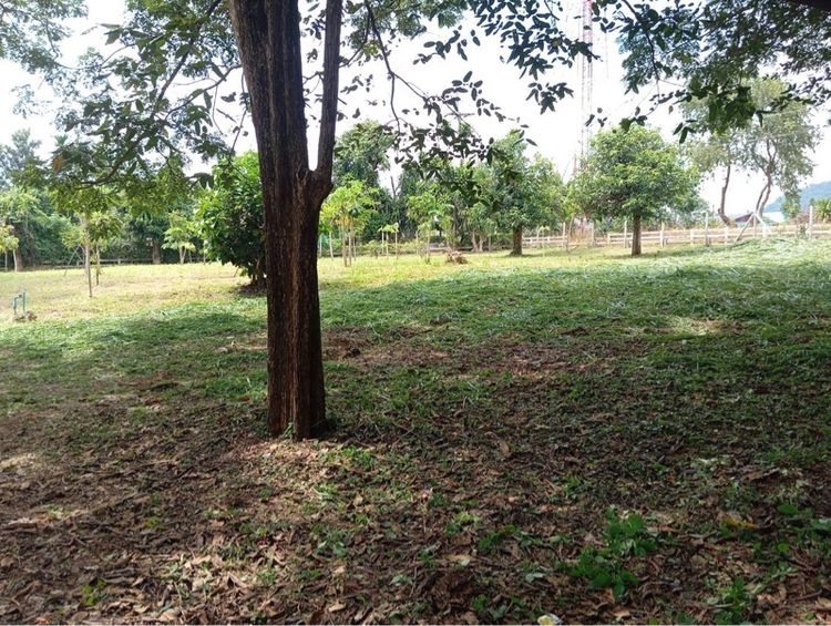 ขายที่ดินสวยมาก  หมู่บ้านภูนภารีสอร์ท 108 ตรว. มวกเหล็ก รูปที่ 4