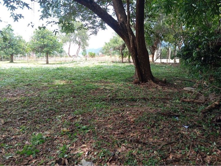 ขายที่ดินสวยมาก  หมู่บ้านภูนภารีสอร์ท 108 ตรว. มวกเหล็ก รูปที่ 3