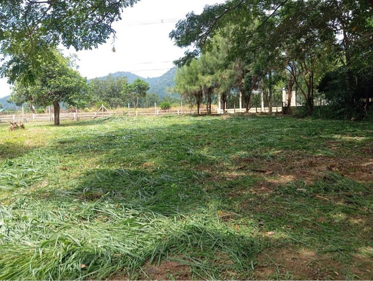 ขายที่ดินสวยมาก  หมู่บ้านภูนภารีสอร์ท 108 ตรว. มวกเหล็ก รูปที่ 2