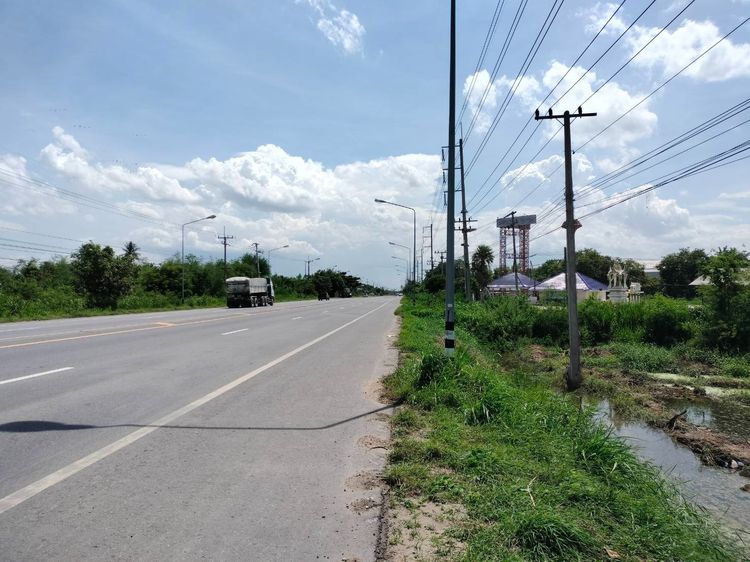 ที่ดิน3ไร่จังหวัดอ่างทอง ติดถนน 3295 รูปที่ 4