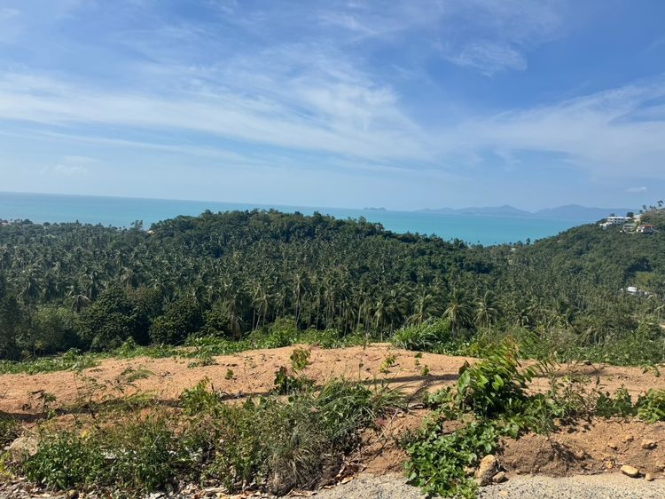 ที่ดินวิวทะเล เกาะสมุย ทำเลสวย ราคาต่ำกว่าตลาด