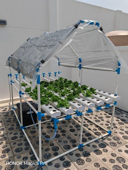 โรงเรือนปลูกผักสลัด