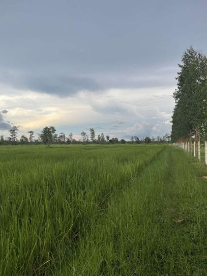 ขายถูกที่สวยพร้อมสิ่งปลูกสร้างเนื้อที่17ไร่