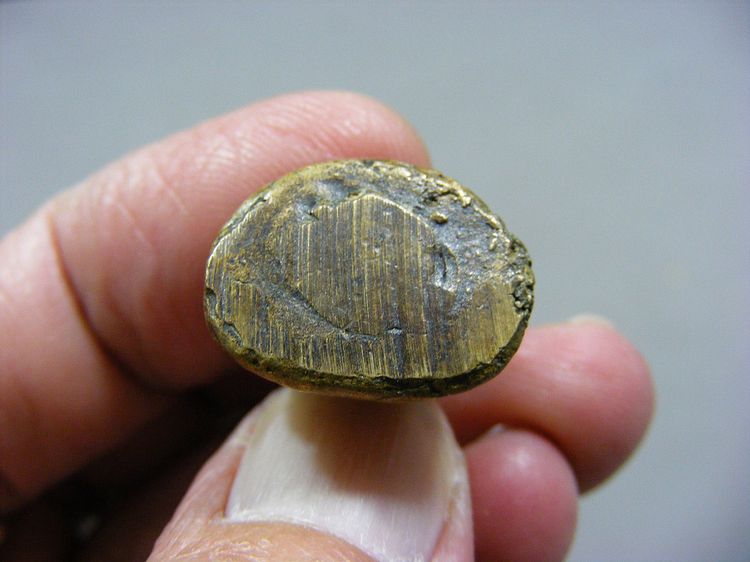 รูปหล่อหลวงพ่อเงิน เก่าๆ พระบ้านๆ รูปที่ 11