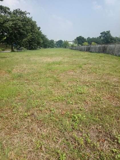 ที่ดินติดถนนรามคำแหง ซอย150 รูปที่ 4