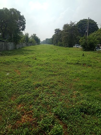 ที่ดินติดถนนรามคำแหง ซอย150 รูปที่ 3
