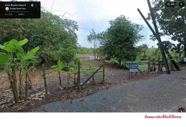 ขายที่ดิน ติดถนนลำลูกกาคลอง 13  รูปที่ 2