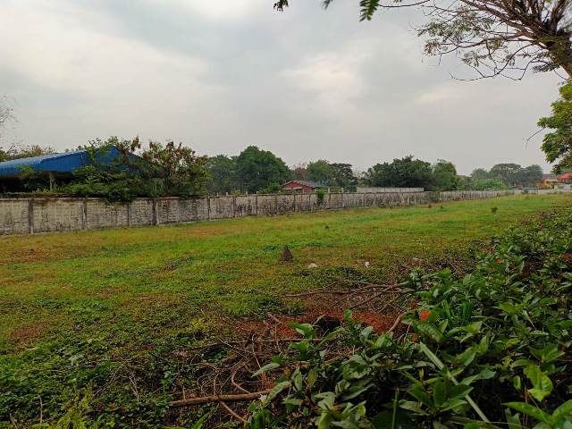 ขายที่ดินในซอยสุขาภิบาล5 ซอย82 รูปที่ 3