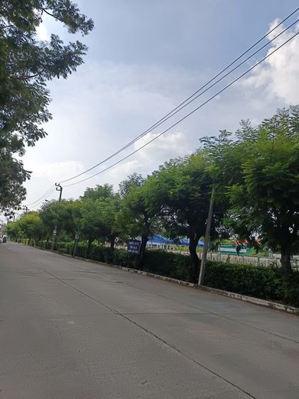 ขายที่ดินในซอยสุขาภิบาล5 ซอย82 รูปที่ 4