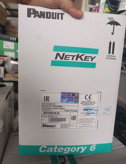 สายแลน เพนดูส 