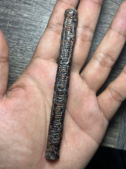 ตะกรุดสี่เสาหลวงพ่อกลั่นวัดพญาติการาม ยาว 4.6 นิ้ว(มีสินค้าหลายรายการกดเข้ามาดูในโปรไฟล์ได้เลยครับ) รูปที่ 4