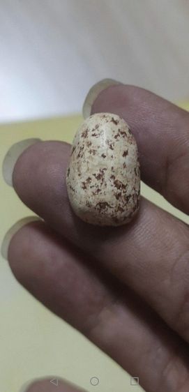 สมเด็จวัดพลับ​ พิมพ์ตุ๊กตาเล็ก​ ลงรักเก่า รูปที่ 2