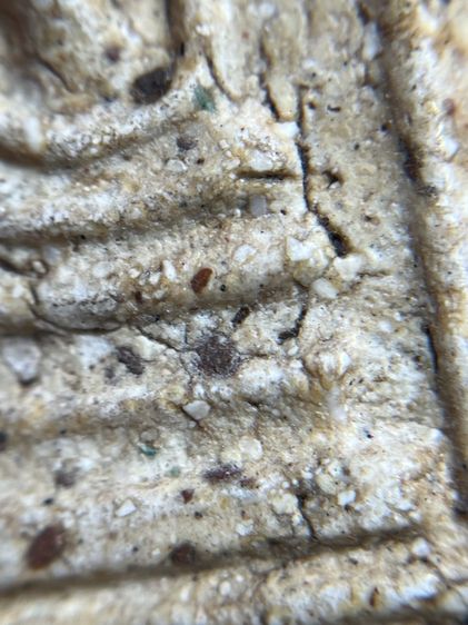 พระสมเด็จวัดระฆังพิมพ์ใหญ่เห็นเม็ดมลสาร รูปที่ 8