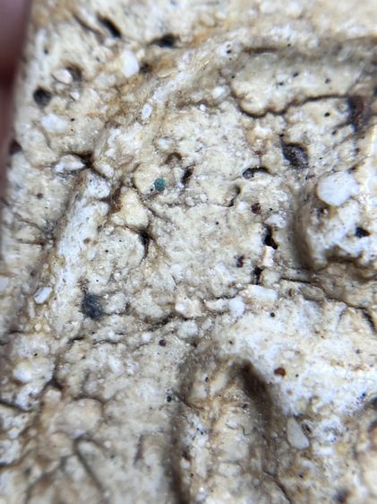 พระสมเด็จวัดระฆังพิมพ์ใหญ่เห็นเม็ดมลสาร รูปที่ 9