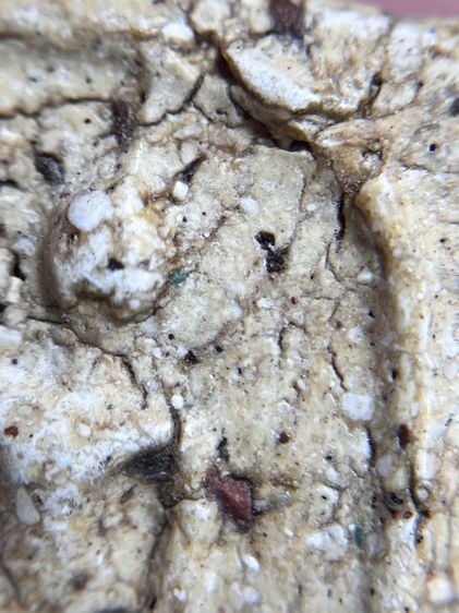 พระสมเด็จวัดระฆังพิมพ์ใหญ่เห็นเม็ดมลสาร รูปที่ 10