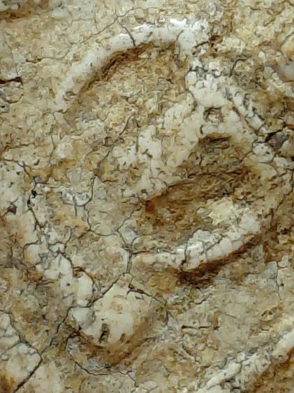 อกครุฑเศียรบาตรบางขุนพรหม รูปที่ 8