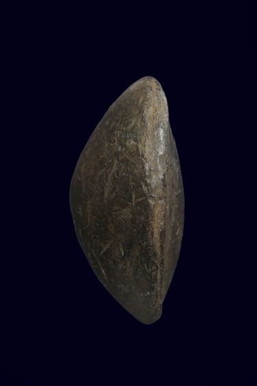 เบี้ยแก้มีปรอท รูปที่ 4