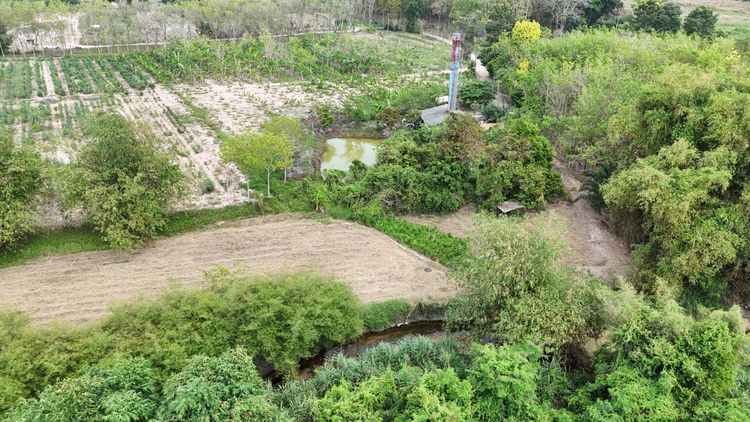 ขายที่ดินเปล่า 4-2-50 ไร่ ทำเลศักยภาพ ติดคลองกระเฉท น้ำไหลตลอดปี ใกล้นิคมอุตสาหกรรม ต.มาบข่า ระยอง รูปที่ 4