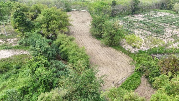 ขายที่ดินเปล่า 4-2-50 ไร่ ทำเลศักยภาพ ติดคลองกระเฉท น้ำไหลตลอดปี ใกล้นิคมอุตสาหกรรม ต.มาบข่า ระยอง รูปที่ 2