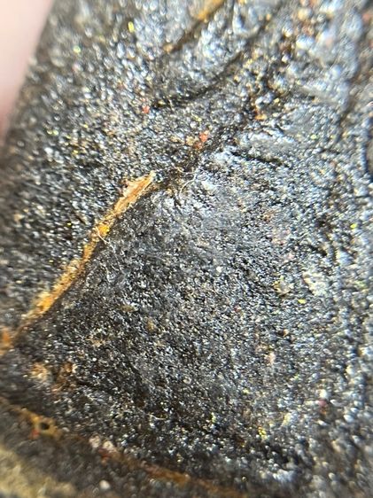 หลวงปู่ทวด เนื้อผงหลังพระธาตุ รูปที่ 12