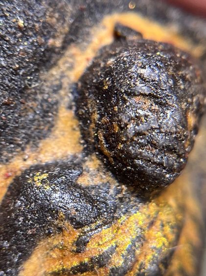 หลวงปู่ทวด เนื้อผงหลังพระธาตุ รูปที่ 8