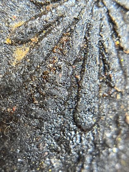 หลวงปู่ทวด เนื้อผงหลังพระธาตุ รูปที่ 13