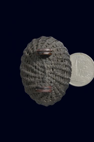 เบี้ยแก้ปรอทเต็ม รูปที่ 4