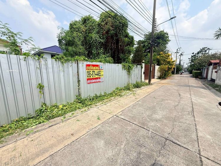 ขายด่วนที่ดิน 98 ตรว ติดถนนคอนกรีตสาธารณะ ถมแล้ว นาคนิวาส 21 แยก 2-1 ต.ลาดพร้าว กรุงเทพมหานคร รูปที่ 3