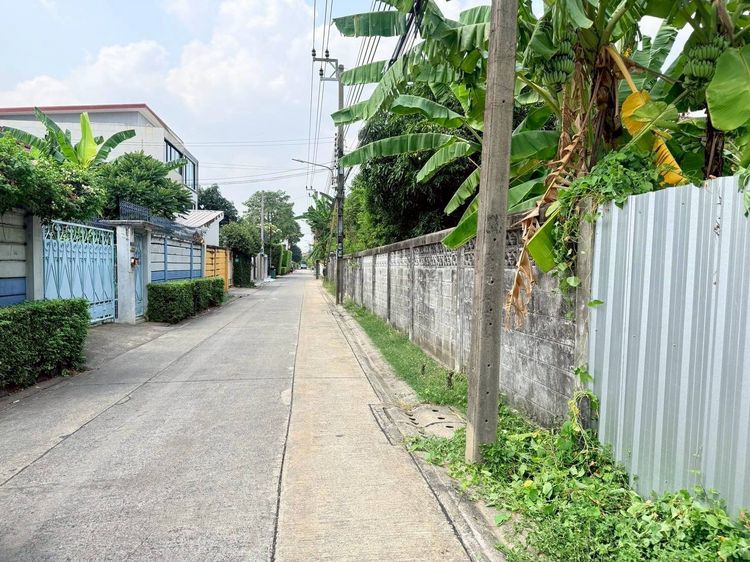 ขายด่วนที่ดิน 98 ตรว ติดถนนคอนกรีตสาธารณะ ถมแล้ว นาคนิวาส 21 แยก 2-1 ต.ลาดพร้าว กรุงเทพมหานคร  รูปที่ 4