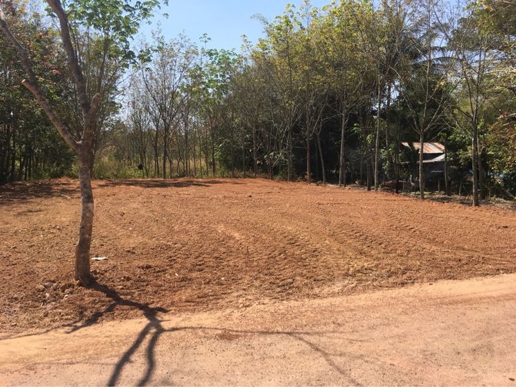 ขายที่ดินพร้อมสวนยาง 6.2 ไร่